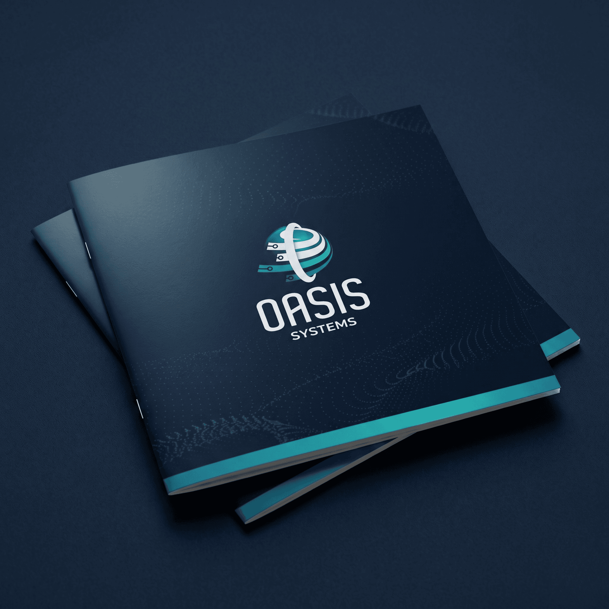 Project visual 2.png